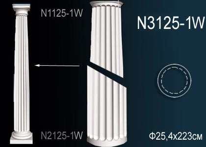 Тело колонны N3125-1W